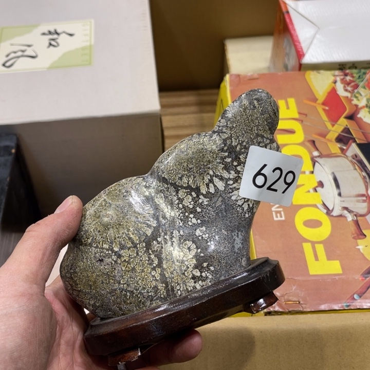 茶宠我们都在努力着改变着