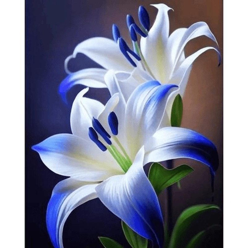 全新品种【北极星】香水百合种球四季花卉好养易活盆栽浓香百合种球