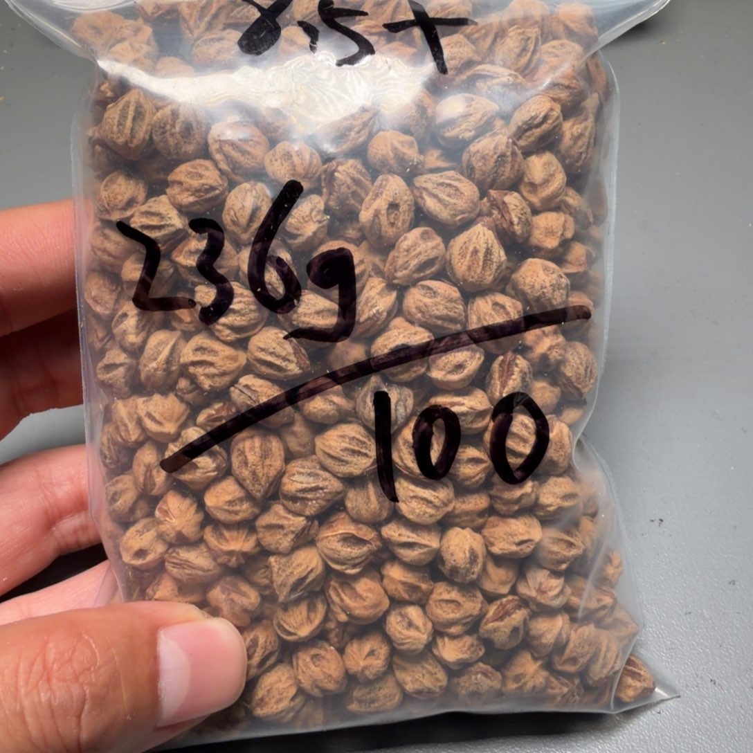 吊坠柏香籽/百香籽k**?