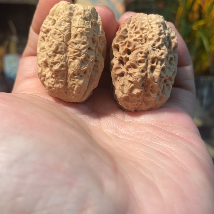 把件文玩核桃编号79