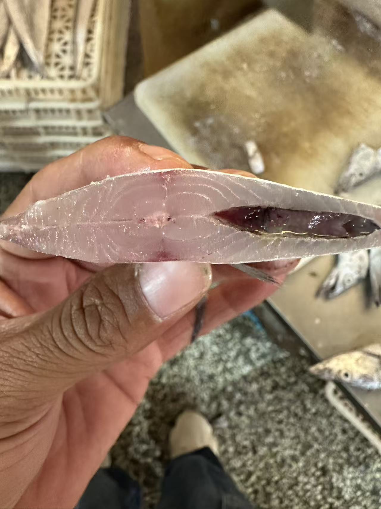 鲳鱼一斤
