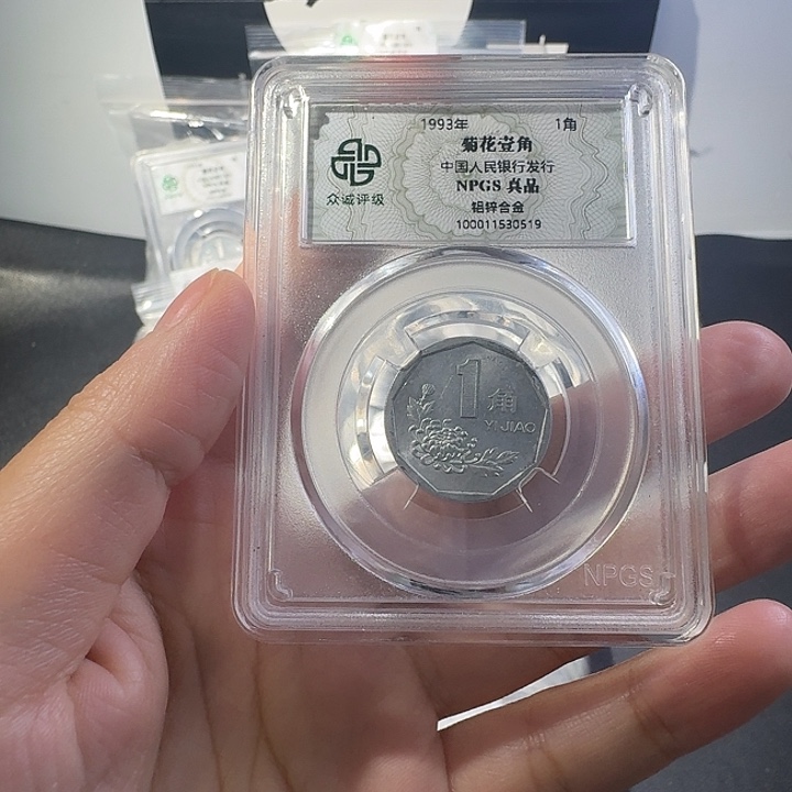 菊花一斤啊啊啊啊