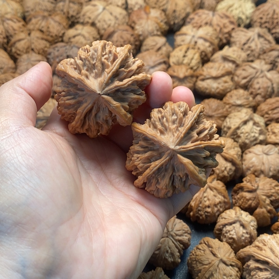 文玩核桃把件47帝王五棱