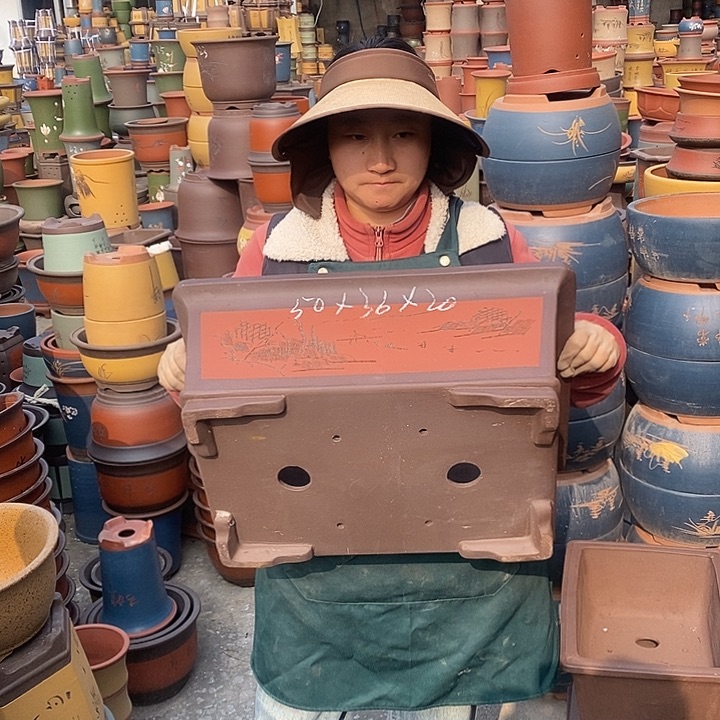 紫砂花盆盆栽花卉苗木种植