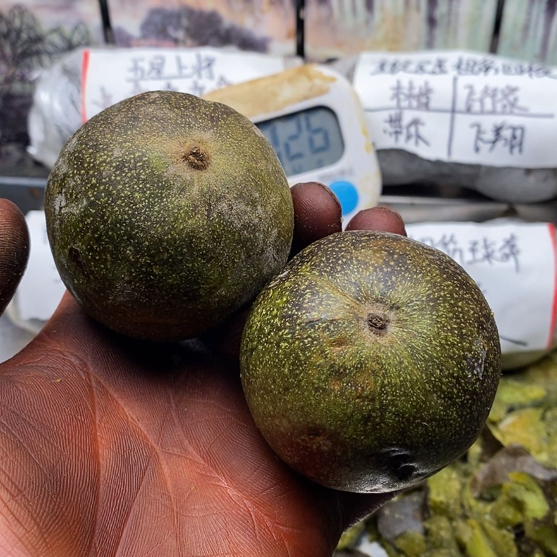 当***人干斤斤计较看见奶奶家