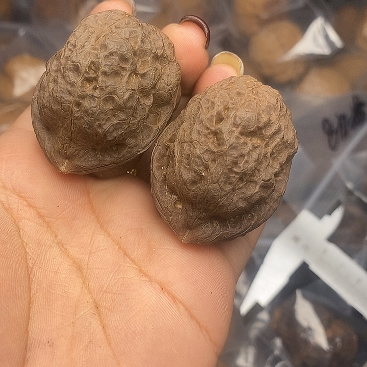 吊坠文玩核桃92号42mm