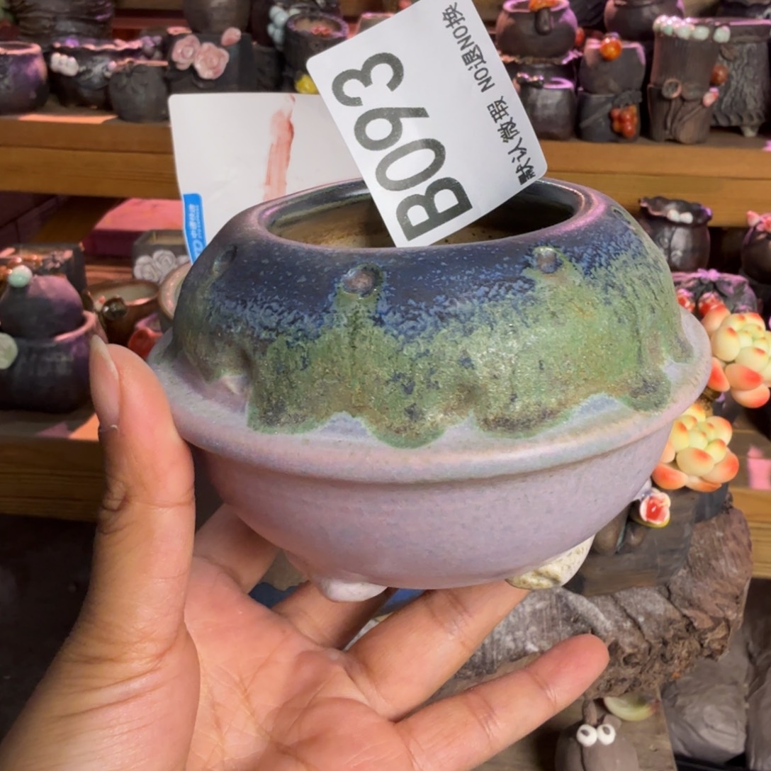 重庆小燕子欢迎大家12.8