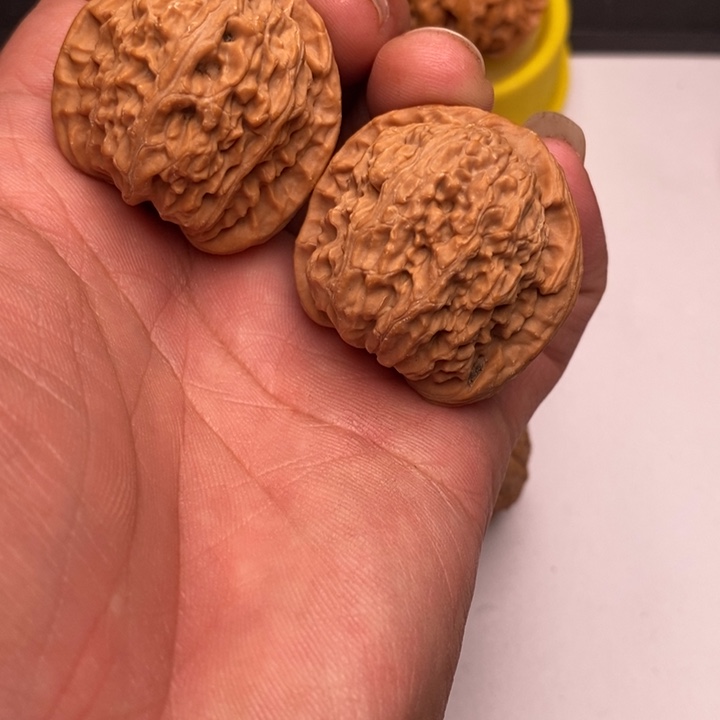 手串/手链核桃山地白狮子头37尺寸