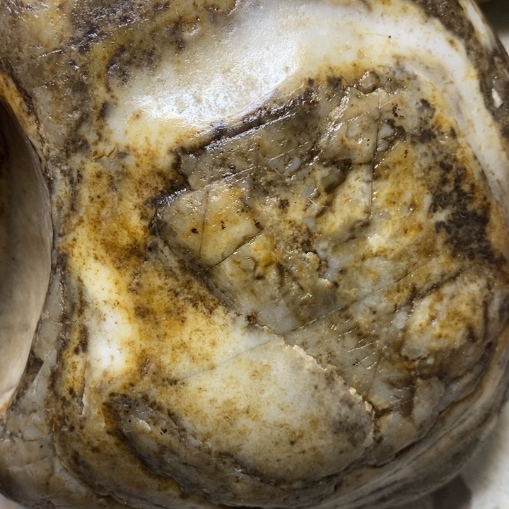 和田玉未镶嵌珠宝奇石56