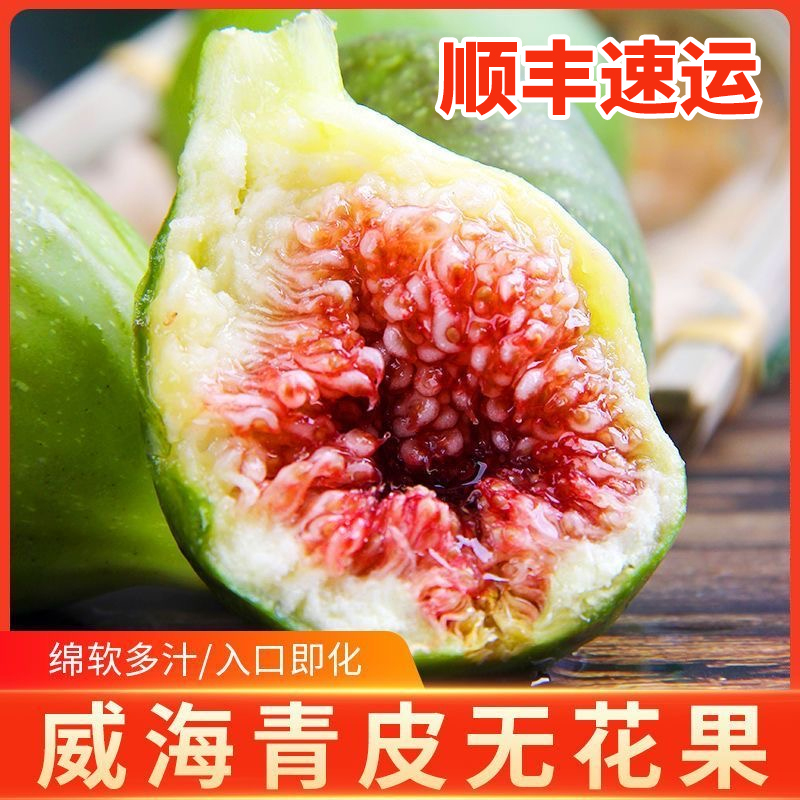 S4【顺丰】山东威海青皮无花果新鲜应季当季水果软糯香甜无花果蜜甜
