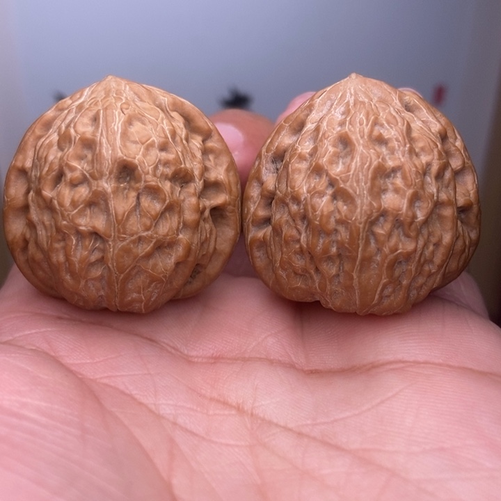 核桃全品小尺铁锤