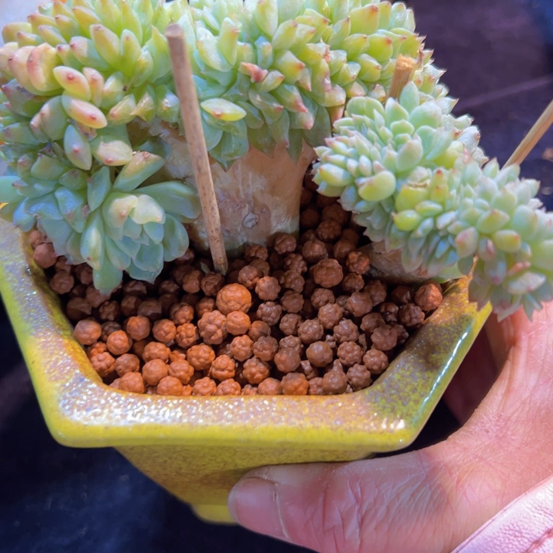 新年快乐啊宝宝们88888888