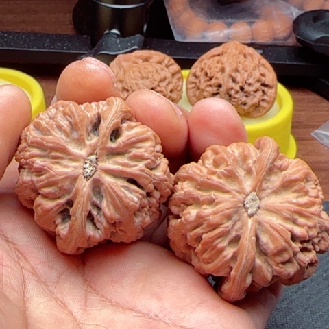 明***好桃核吊坠粗筋狮子头全品无修