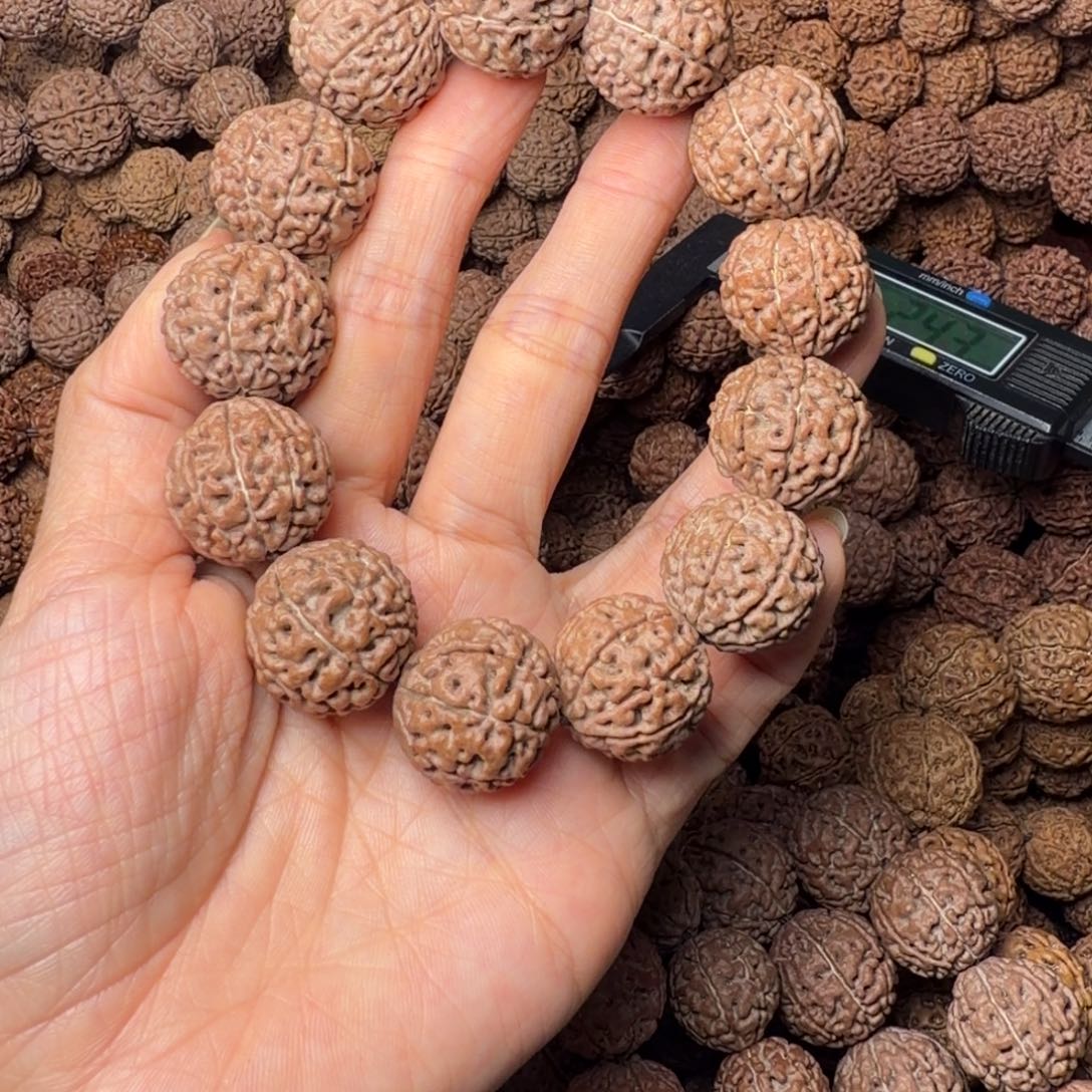 金刚菩提手串9瓣卡21尺，48号