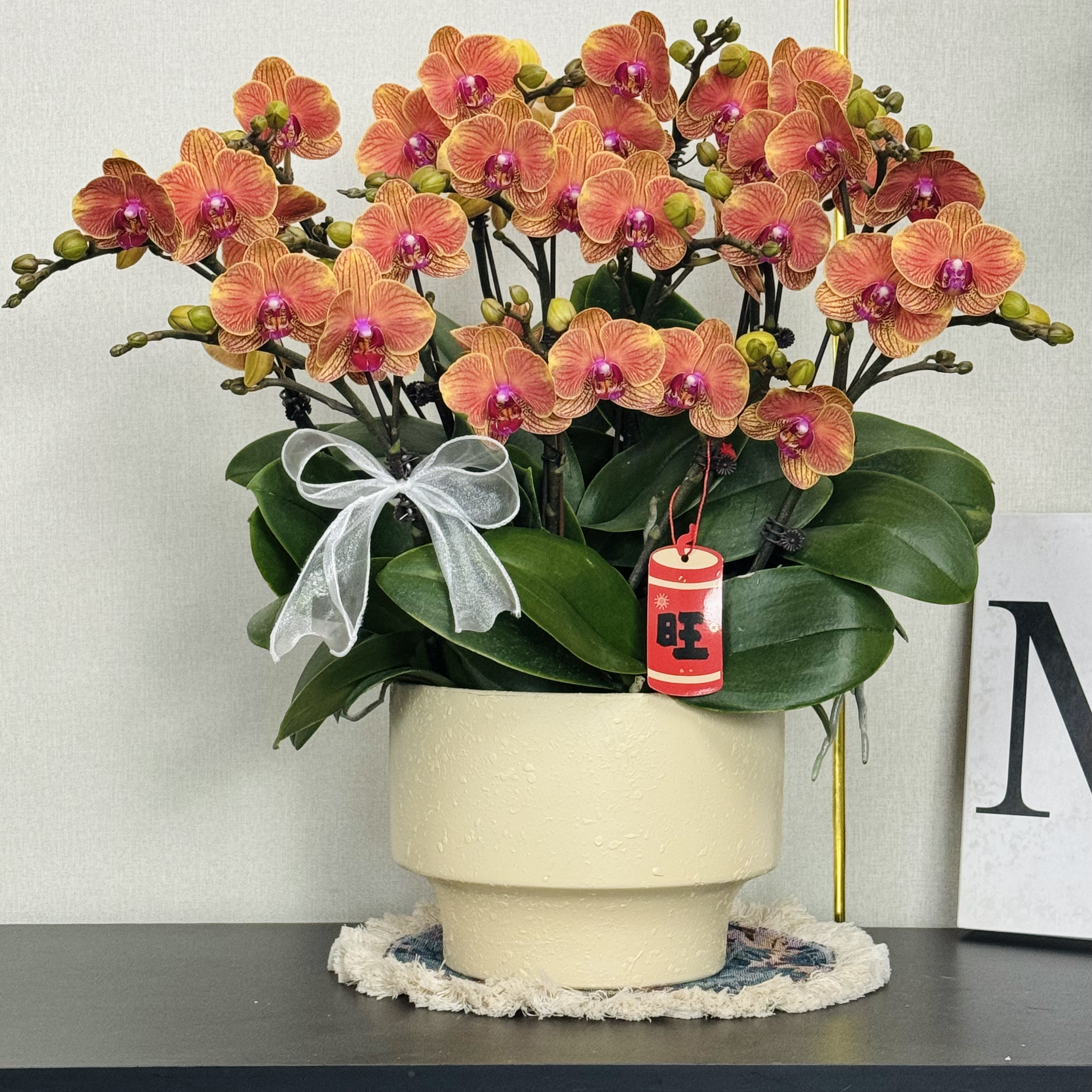 福禄禧【吉利】蝴蝶兰盆栽花卉观花植物室内四季开花优质陶瓷盆4