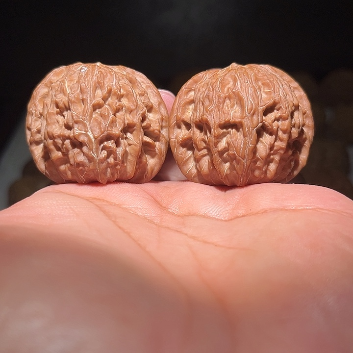 巴***·木42狮子头。      