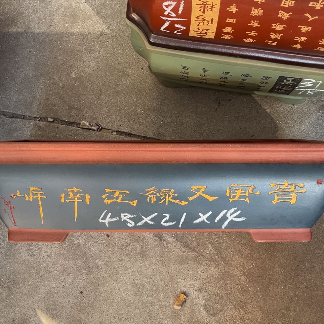 花盆紫砂盆景艺术