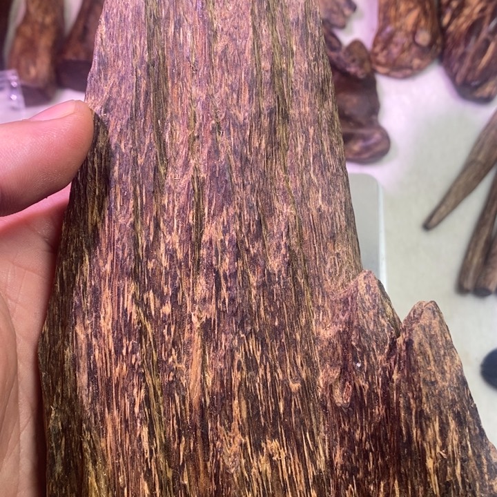 沉香沉香碎屑柬埔寨