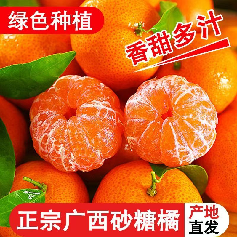 正宗现摘正宗金秋5斤砂糖橘当季水果新鲜薄皮橘子沙糖桔整箱