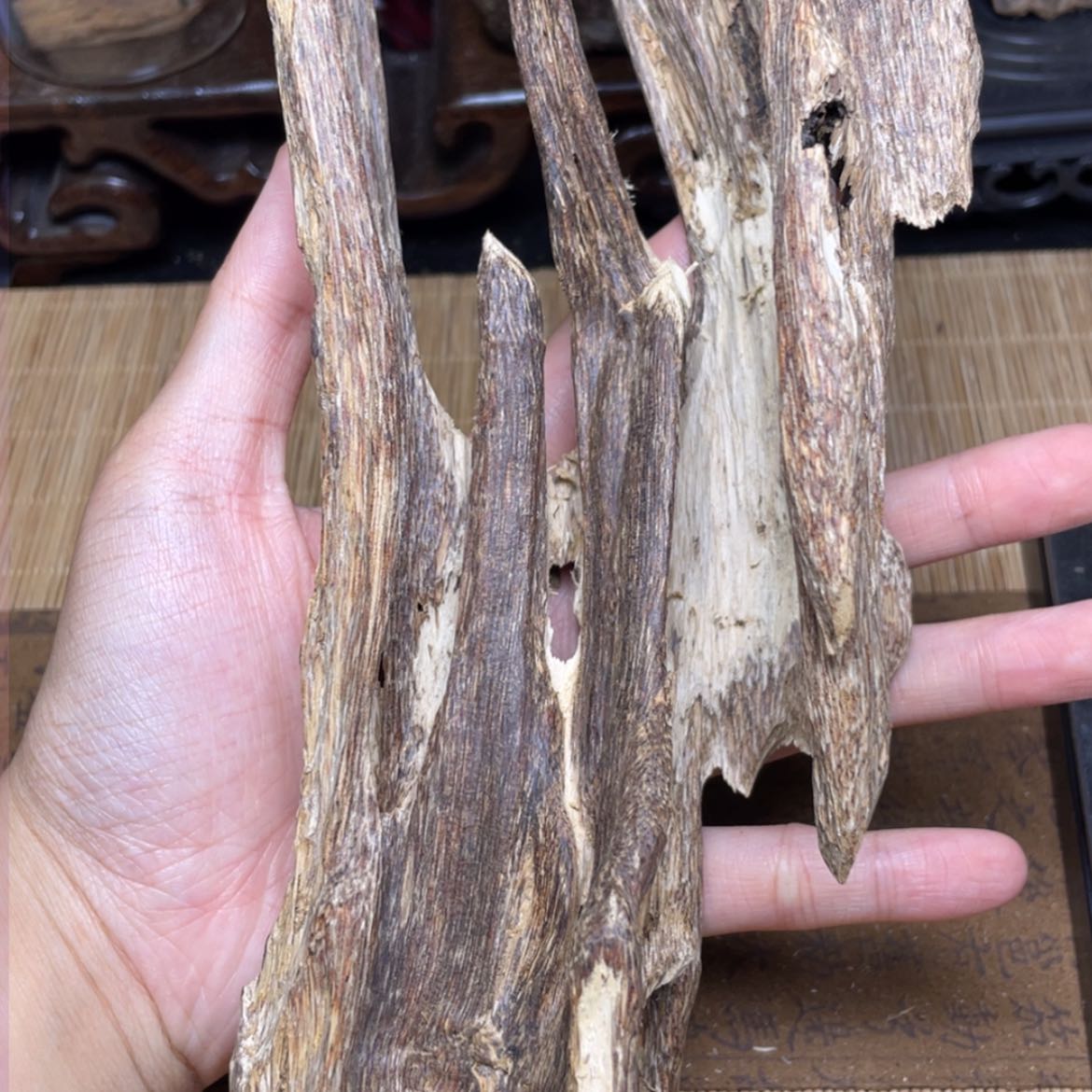 【闪购商品】香榧木海南临高虫漏76克