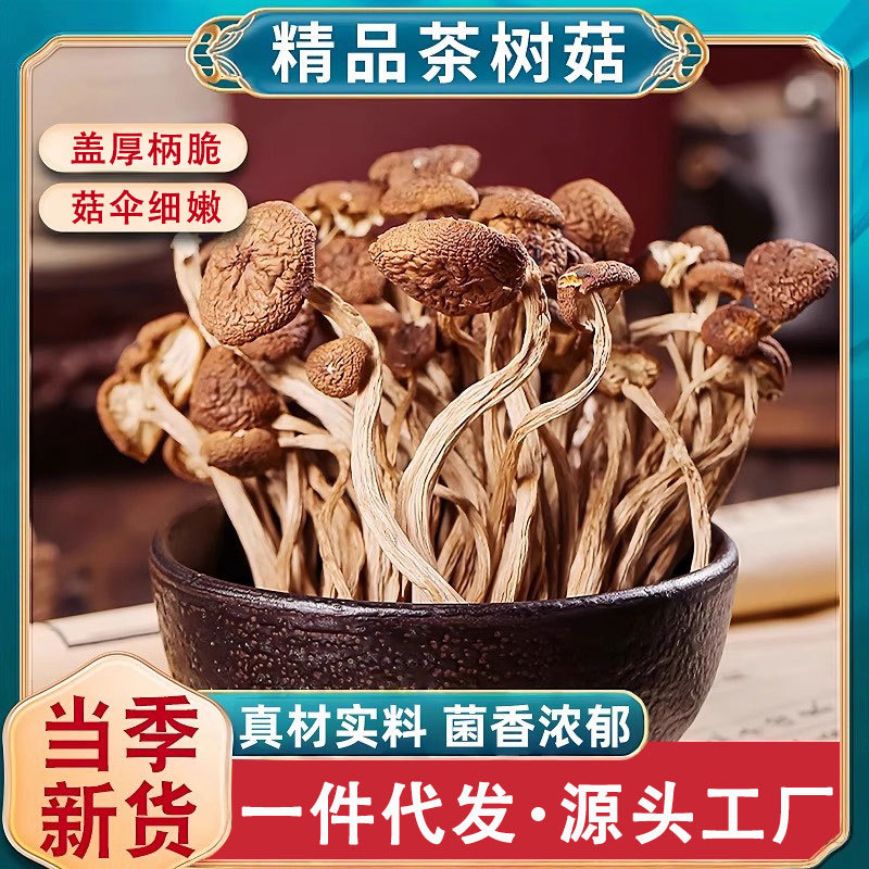 新货云南剪根茶树菇干货特级新鲜菌菇不开伞嫩菇煲汤