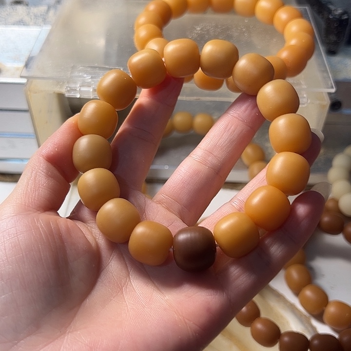 手串菩提根/象牙果
