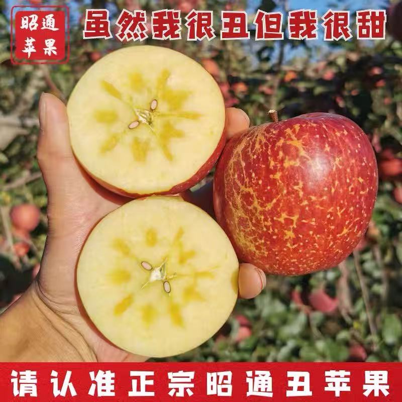 【礼盒专链】正宗云南昭通仿野生冰糖心丑苹果红富士新鲜脆甜多汁