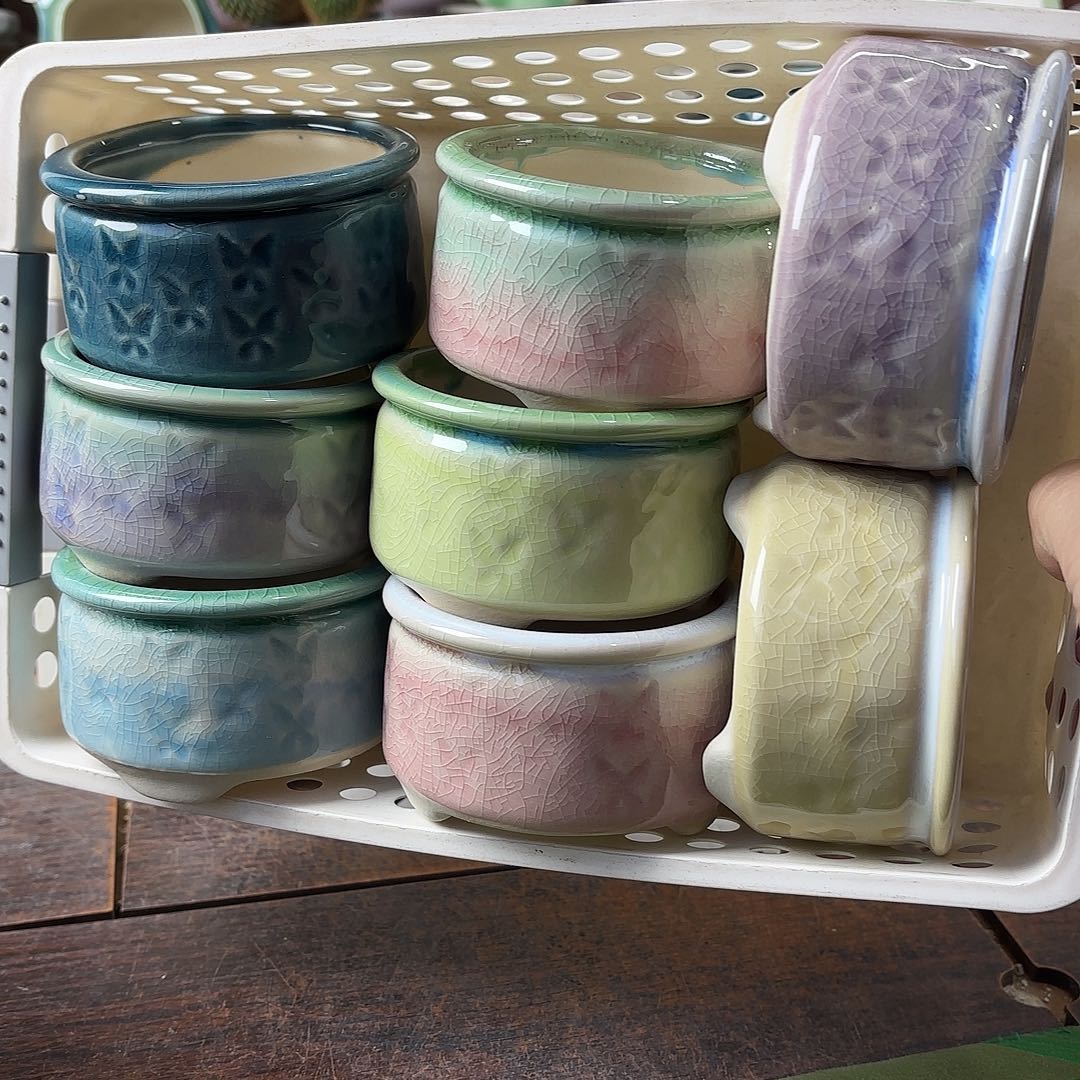 量货/口6.5高5深浅搭配发6