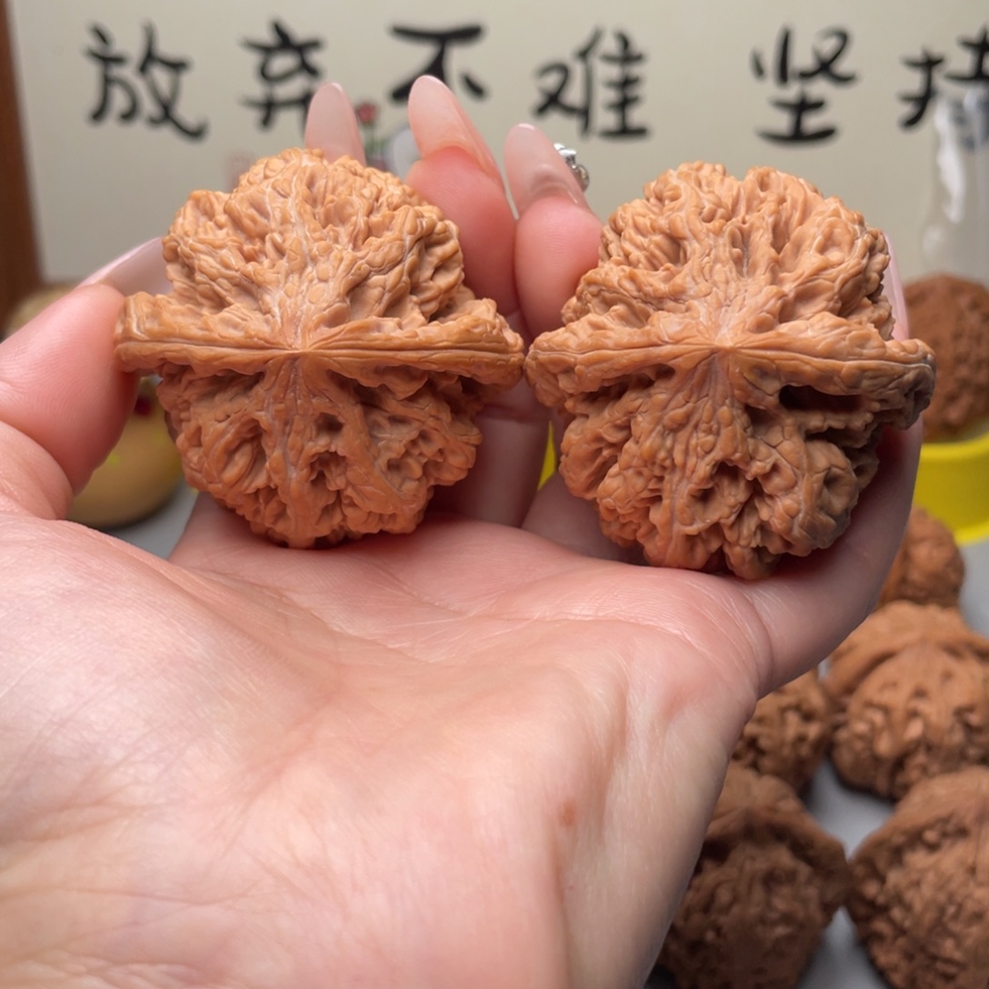 文玩核桃大粗筋49