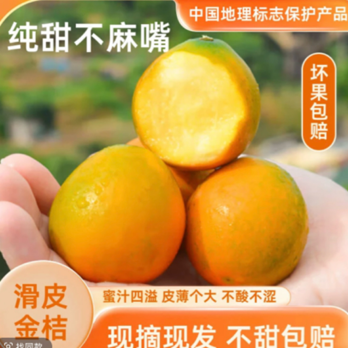 正宗广西 脆蜜金柑 一口鲜嫩爆汁 鲜多汁纯甜爽口甜蜜300g
