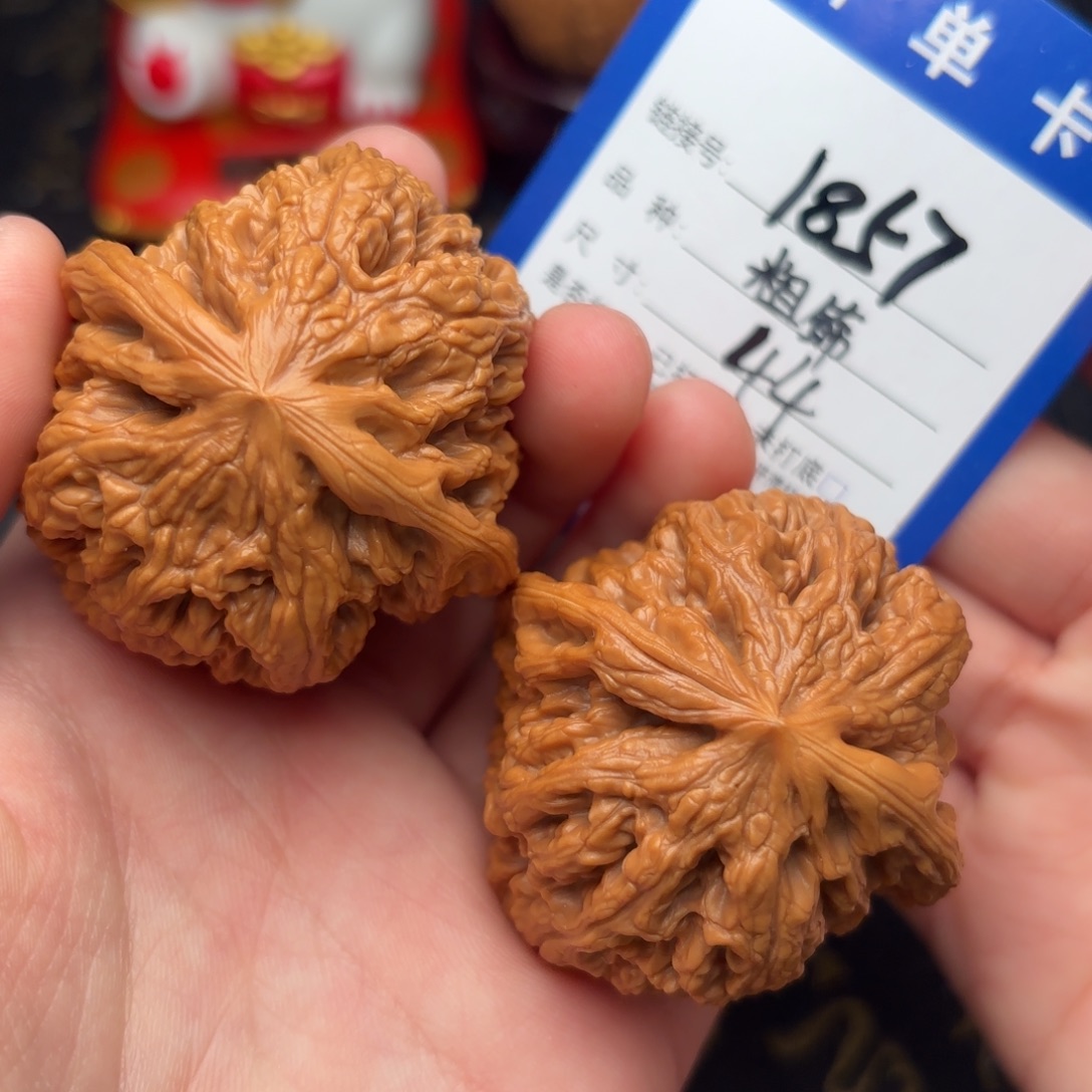 文玩核桃吊坠粗筋