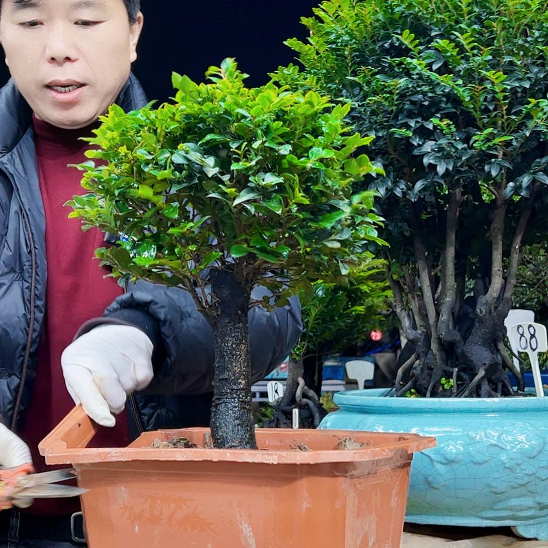 以实际为准佛*缘