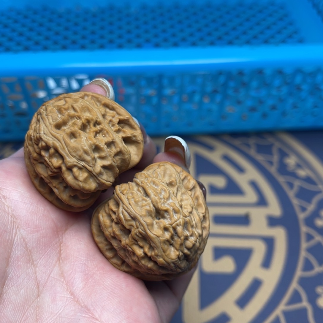 文玩核桃把件白狮子