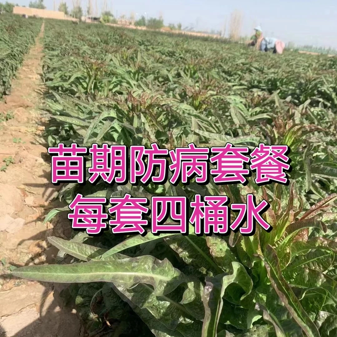 苗期防病套餐（霜霉菌核斑点）