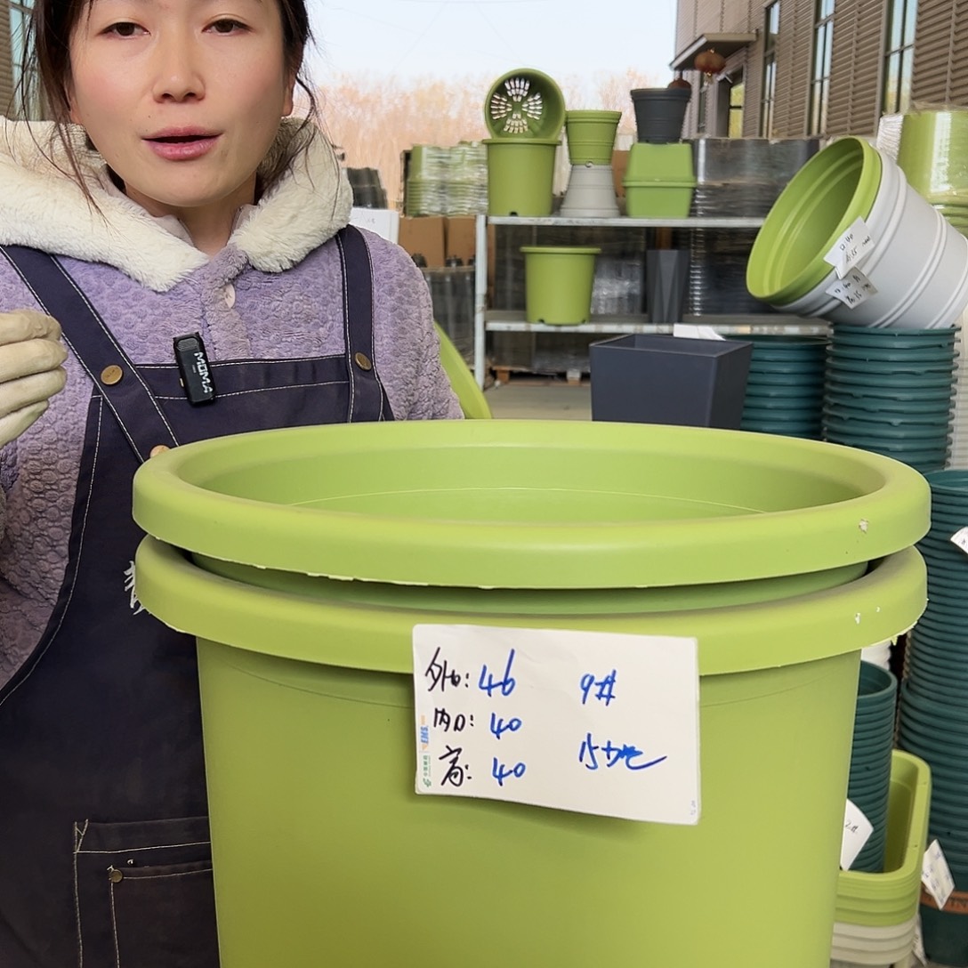 四季盆9#果绿4个无托