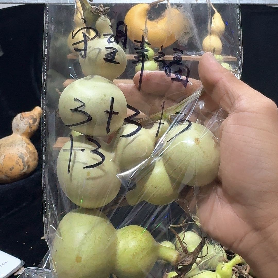 守**福定向定向定向定向