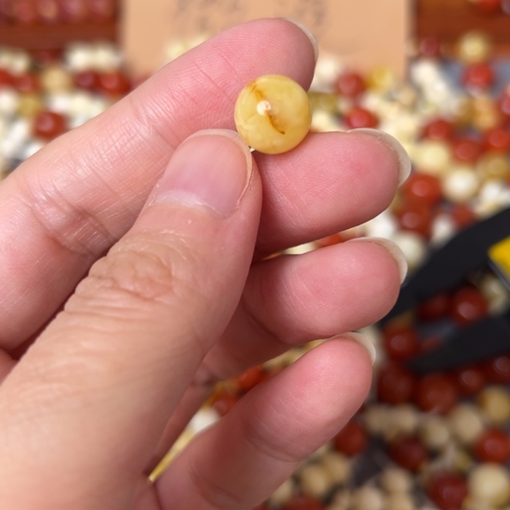 蜜蜡未镶嵌裸石10mm一个