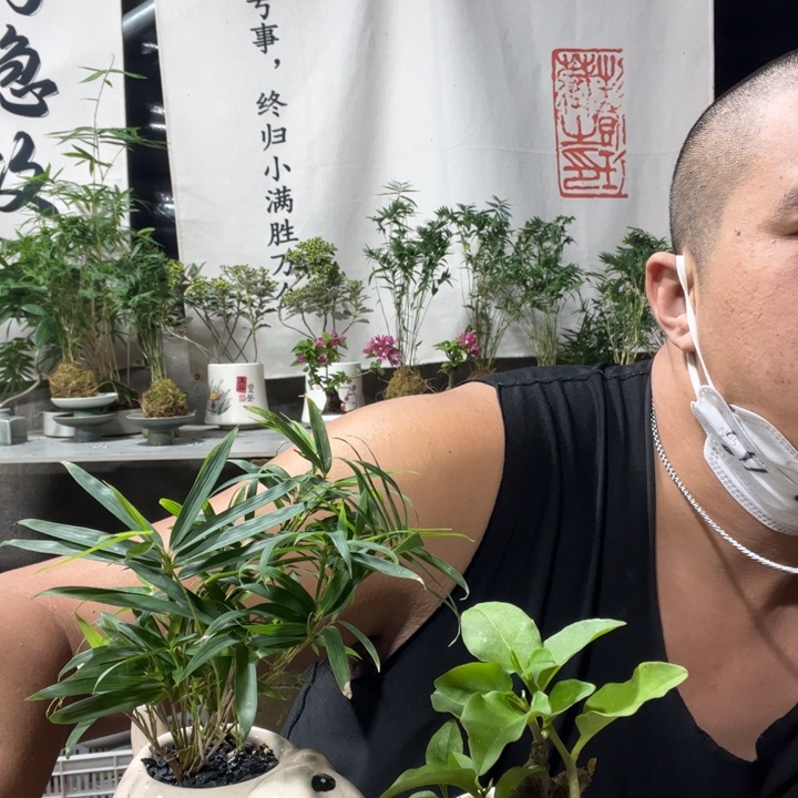 无花朵退款拉黑拉黑108