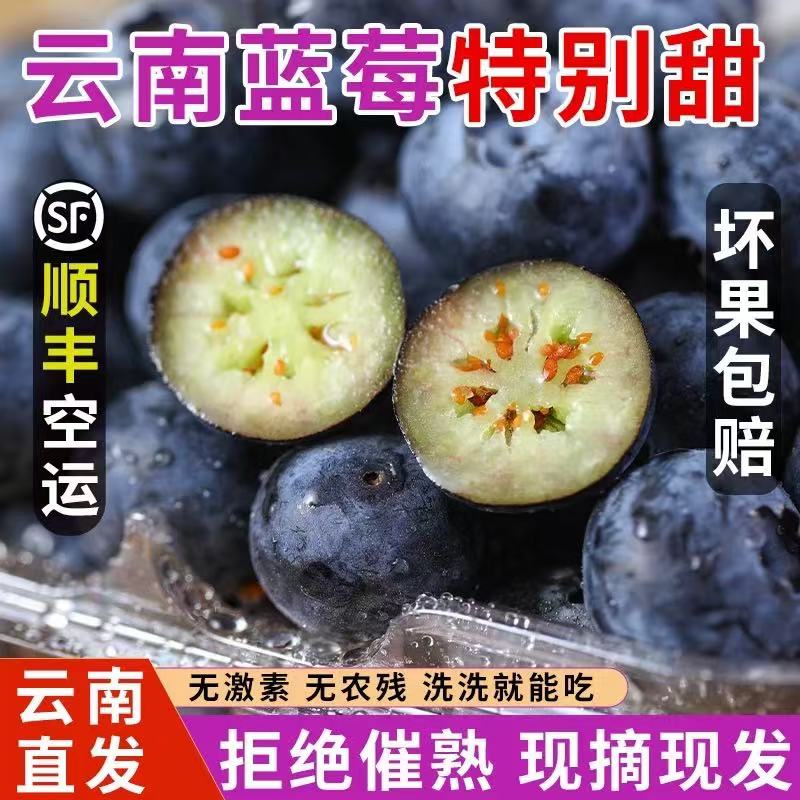 （顺丰直发）单果18+8盒包邮云南高原露天种植L25花香蓝莓
