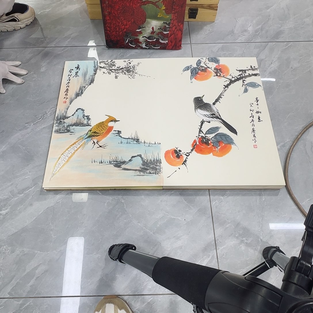 国画红皮书指出该公司