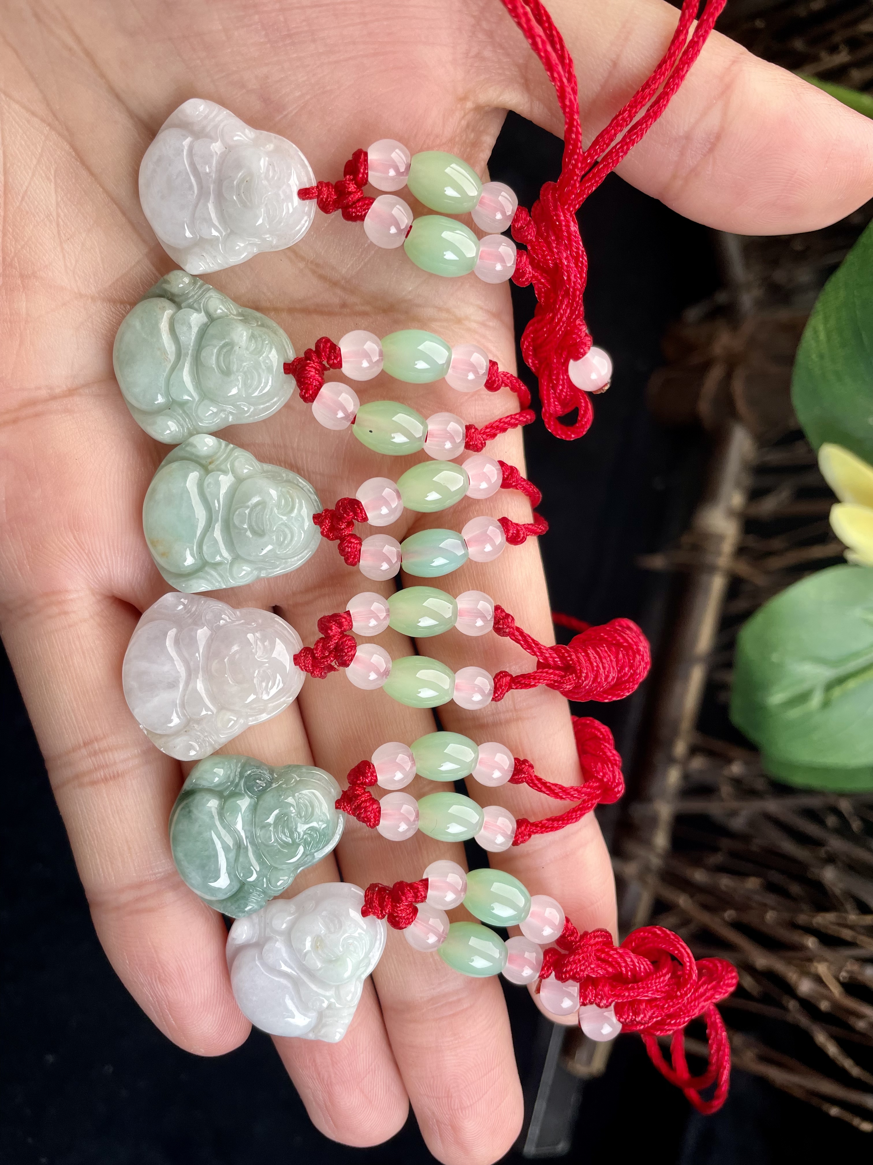 小佛公（多样性发其一）