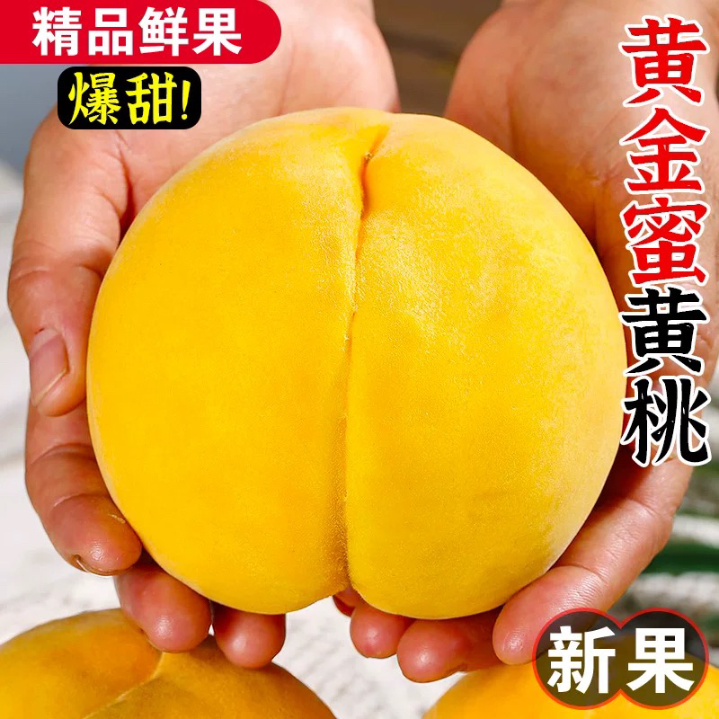 蒙阴黄桃蜜桃水蜜桃纯甜新鲜水果锦绣黄桃桃子优选黄桃