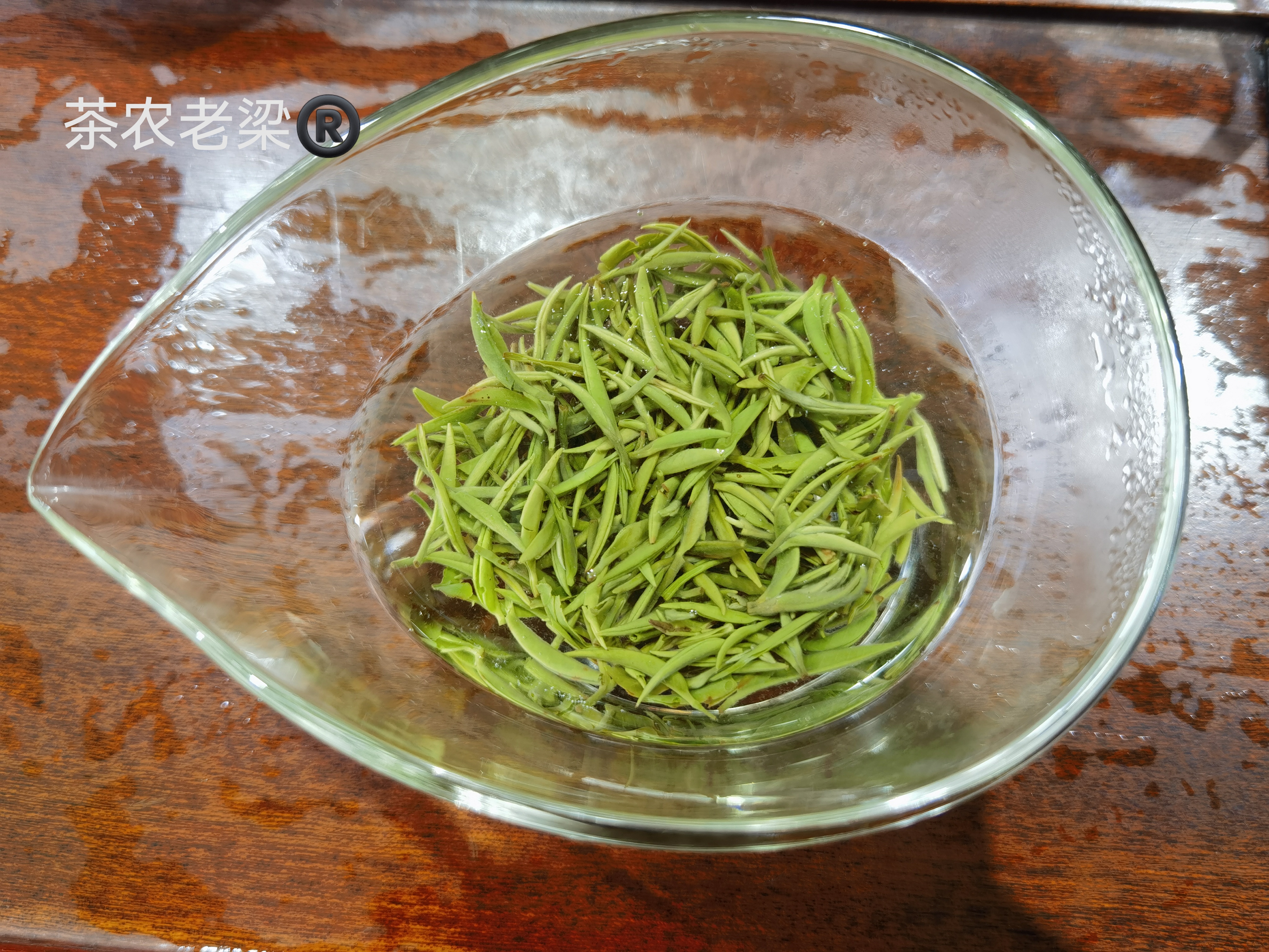 【 2025新茶】 茶农老梁®️信阳毛尖 明前珍品  颗颗精选