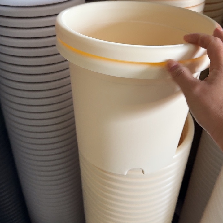 微瑕4#米黄10个带托