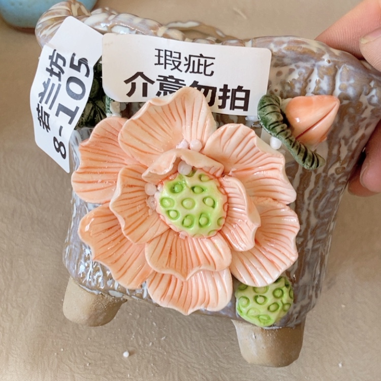 【闪购商品】红陶福利