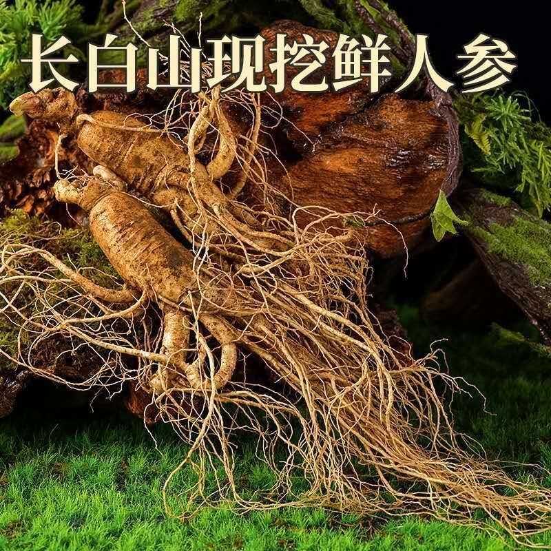 （性价比首选）长白山新鲜带土人参250克—500克