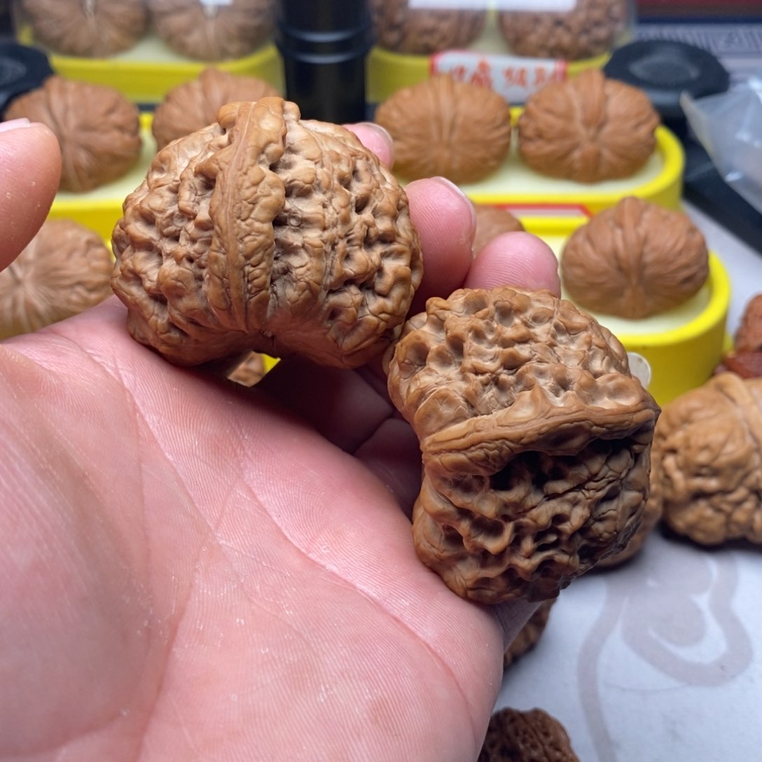 文玩核桃把件S***森龙鼎