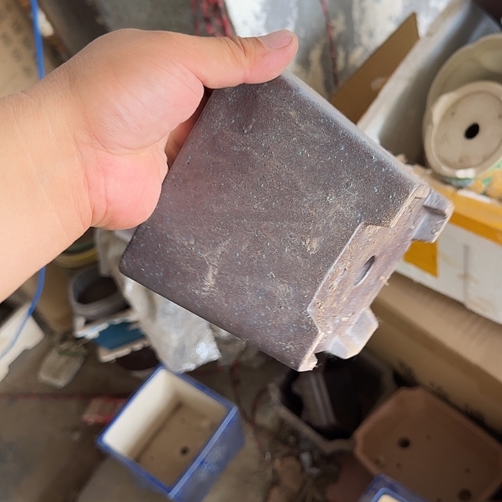 一哈打个给小鱼嘛不