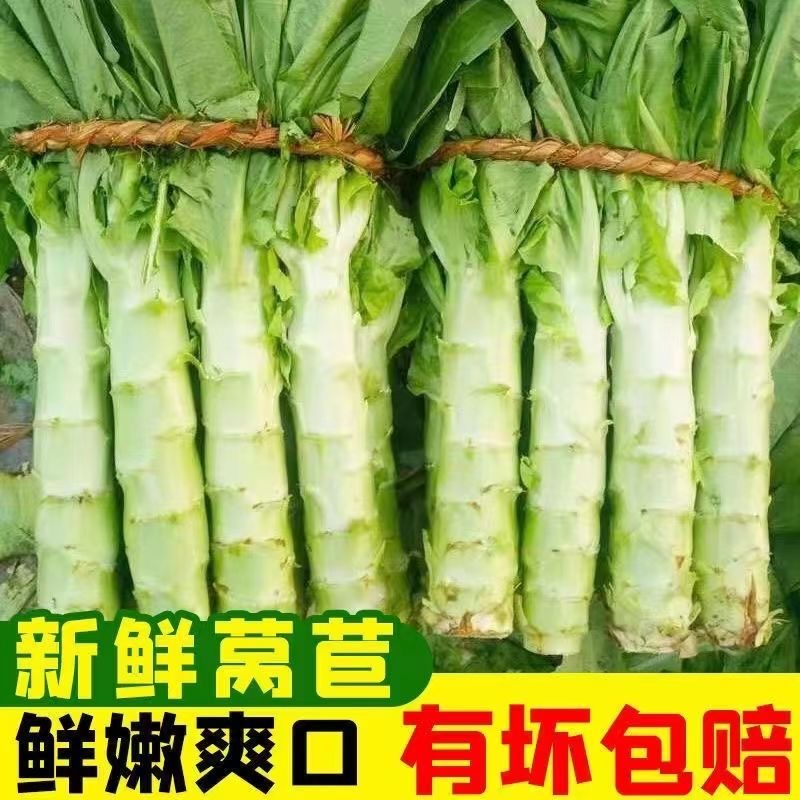 云南新鲜山地绿心莴笋当季时令蔬菜可多种方式烹饪新鲜火锅食材