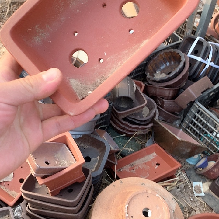 紫砂哈哈真的是太给力太火爆了